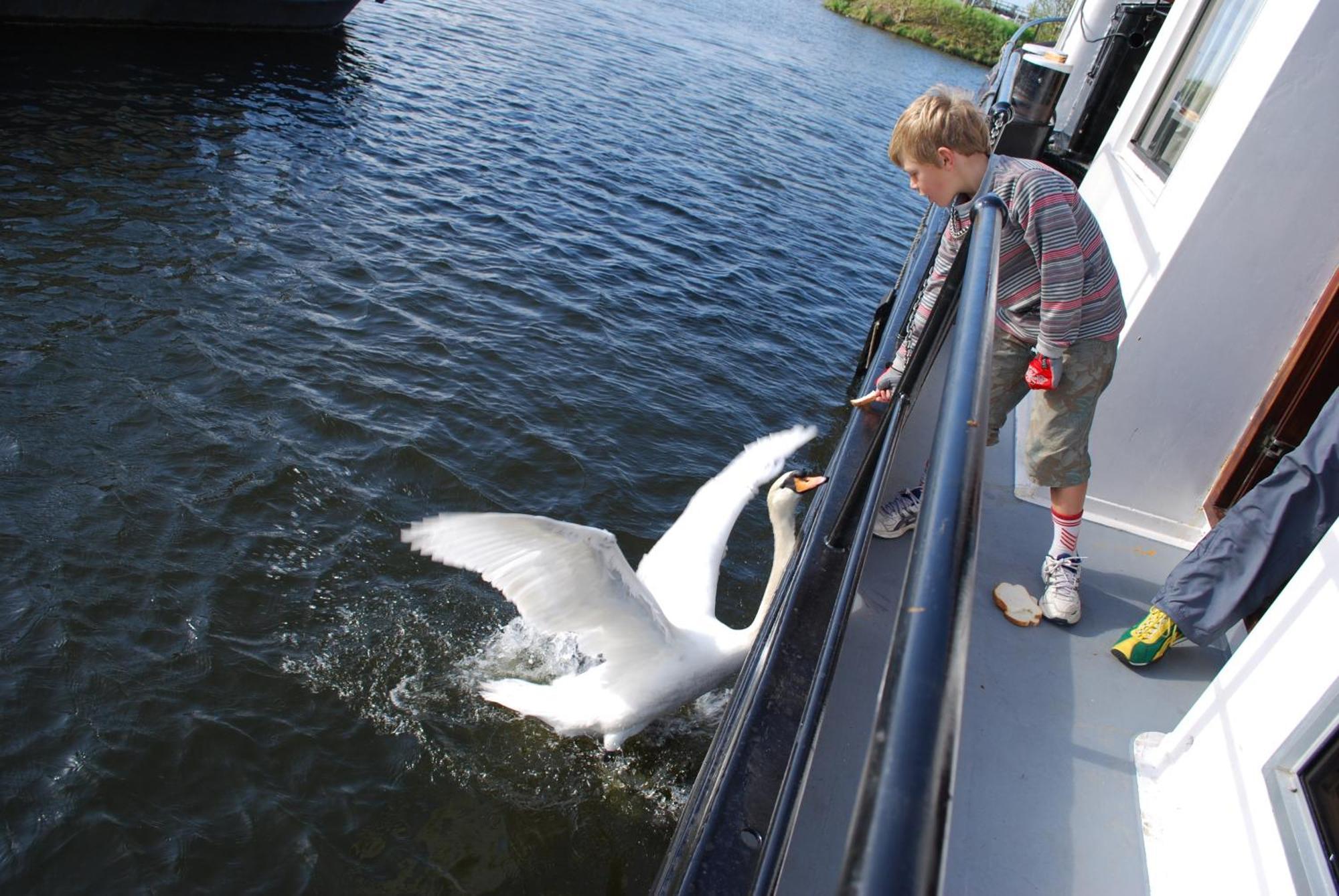 Hotelboot Zwaan Amsterdam Ngoại thất bức ảnh